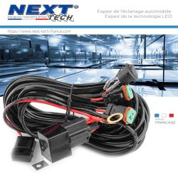 Cable d'alimentation relais avec interrupteur 2 sorties sur prises DT