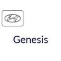 Genesis 2010 à 2013